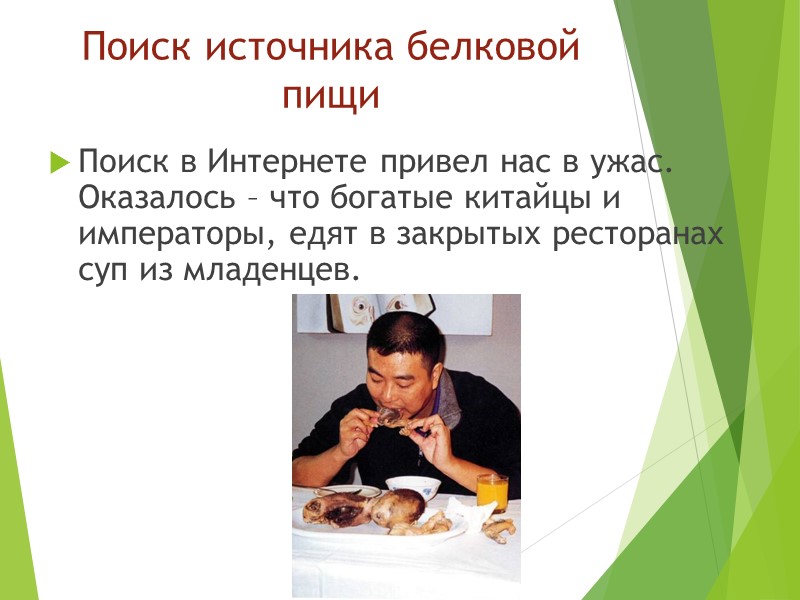 Поиск источника белковой пищи  Поиск в Интернете привел нас в ужас.  Оказалось